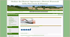 Desktop Screenshot of agronomiforestalifi.it